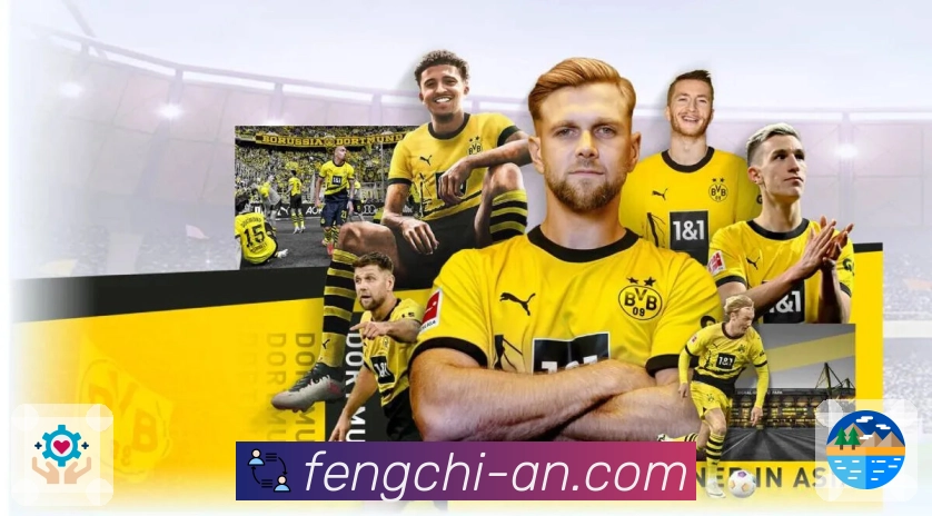 品牌荣誉 点亮未来